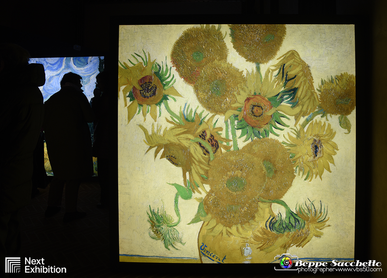 VBS_8048 - Van_Gogh_experience.jpg
